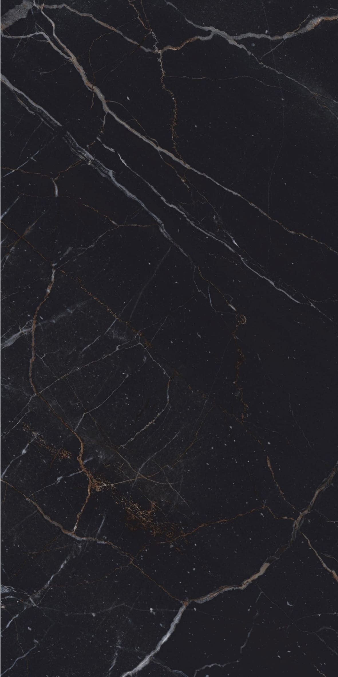 Гранит керамический Collection Black Glossy